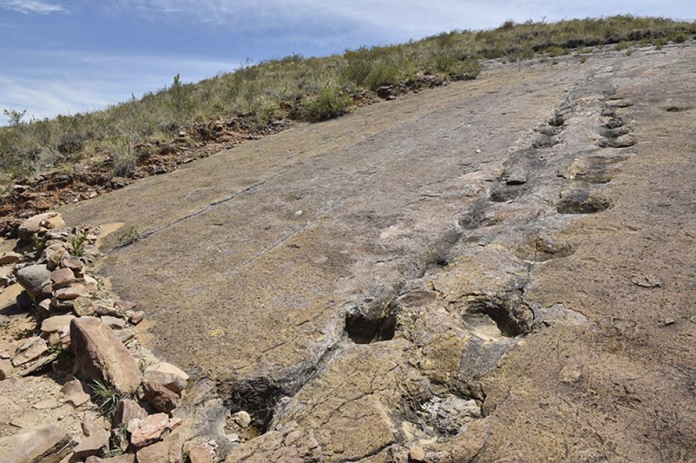 1ca9e844 f18f 4775 9cef 633cac907313