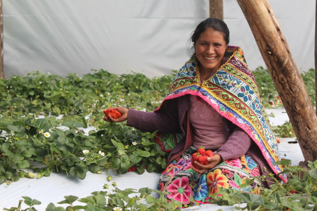 peru – 2025 – family farming cusco